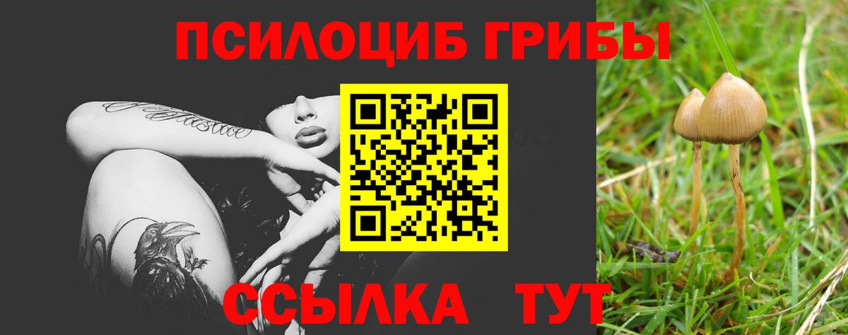 Углич  Псилоцибиновые грибы мухоморы  Вход с VPN  купить  сайты  Псилоцибиновые грибы Magic Shrooms 